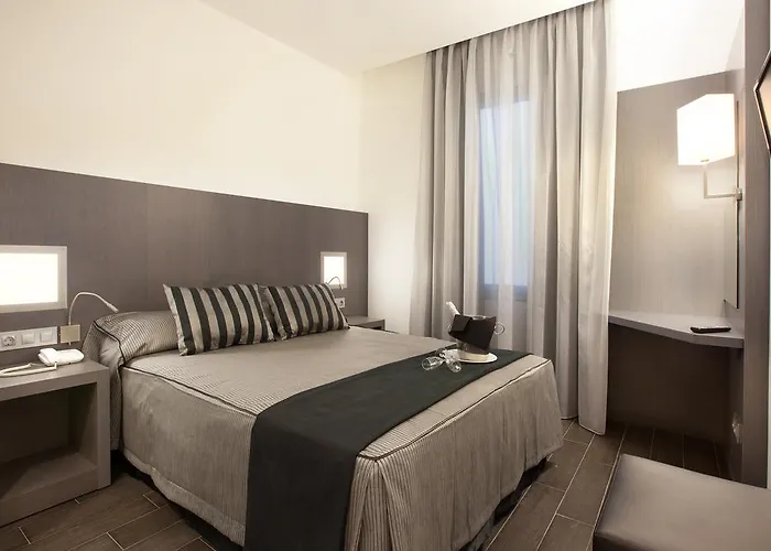 ダリア ランブラス