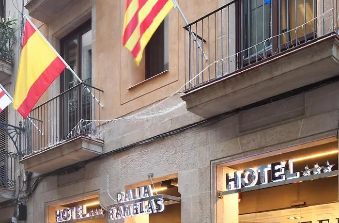 ダリア ランブラス